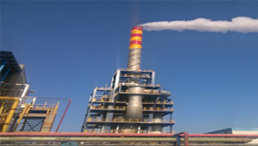 flue gas treatment process