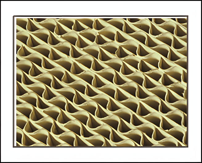 desulfurization and denitrification technical solution bulk wholesale