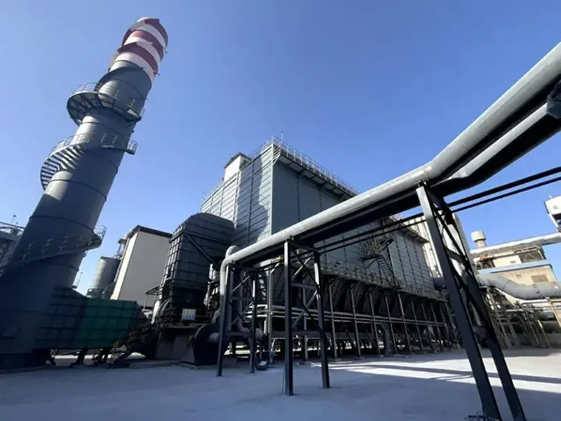 Flue Gas Treatment Process